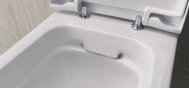 WC školjke bez unutarnjeg ruba omogućuju maksimalnu higijenu