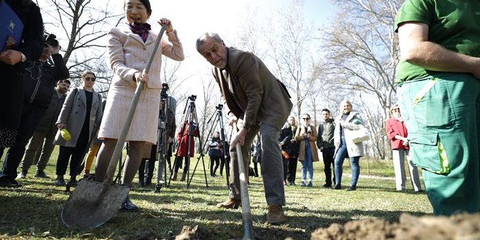 Veleposlanica Japana i Milan Bandić na Bundeku zasadili japanske trešnje i crvene javore