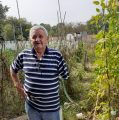 ZELENILO VRAĆA SPOKOJ: I bez jedne ruke, sam izgradio ogradu i kućicu u vrtu na Jarunu te pobijedio birokraciju
