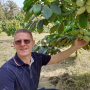 ZAGORSKI IZVOZNI ”BUM”: Prve indijanske banane u EU već 9 godina rastu ispod Sljemena i donose profit