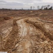 Svjetski poznati ‘POLITICO’ piše o uništavanju hrvatskih šuma; EU uvodi specijaliziranu obuku za policiju i suce