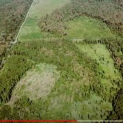 ‘VIDIO SAM KATASTROFU’ Thomas Waitz od EU traži sankcije za brutalnu sječu hrvatskih šuma