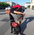 Nisu mogli psihijatri, a uspjelo psu Olani: umiljatošću i mirnoćom izliječila Zorana od PTSP-a