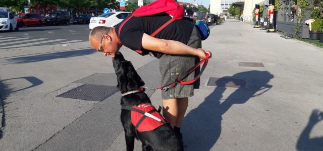 Nisu mogli psihijatri, a uspjelo psu Olani: umiljatošću i mirnoćom izliječila Zorana od PTSP-a