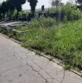 Zagrebačka groblja zarasla u korov i sramotno zapuštena! Zašto građani plaćaju grobnu naknadu?