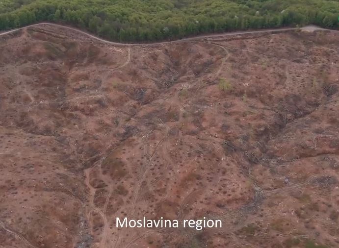 ‘Vlada izvršila državni udar: zbog Hrvatskih šuma protuustavno mijenjali Zakon o šumama!’